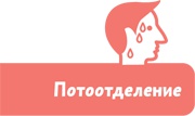 Как устроен человек Как устроен человек