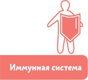 Как устроен человек Как устроен человек
