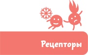 Как устроен человек Как устроен человек