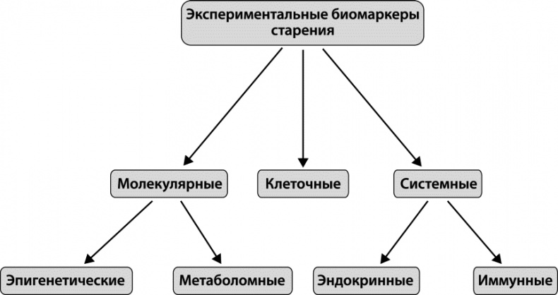 Как победить свой возраст? 8 уникальных способов, которые помогут достичь долголетия