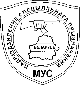 Энциклопедия спецназа стран мира Энциклопедия спецназа стран мира