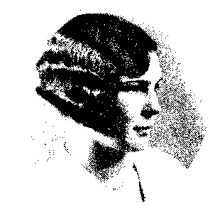 Английский дом. Интимная история Английский дом. Интимная история