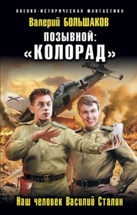 Позывной: «Колорад». Наш человек Василий Сталин - Валерий Большаков