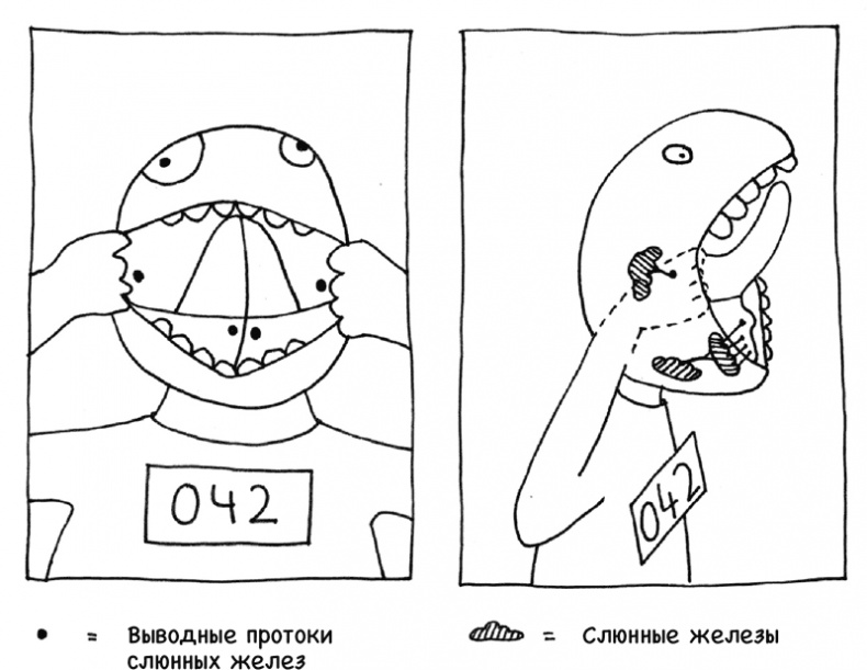 Очаровательный кишечник. Как самый могущественный орган управляет нами Очаровательный кишечник. Как самый могущественный орган управляет нами