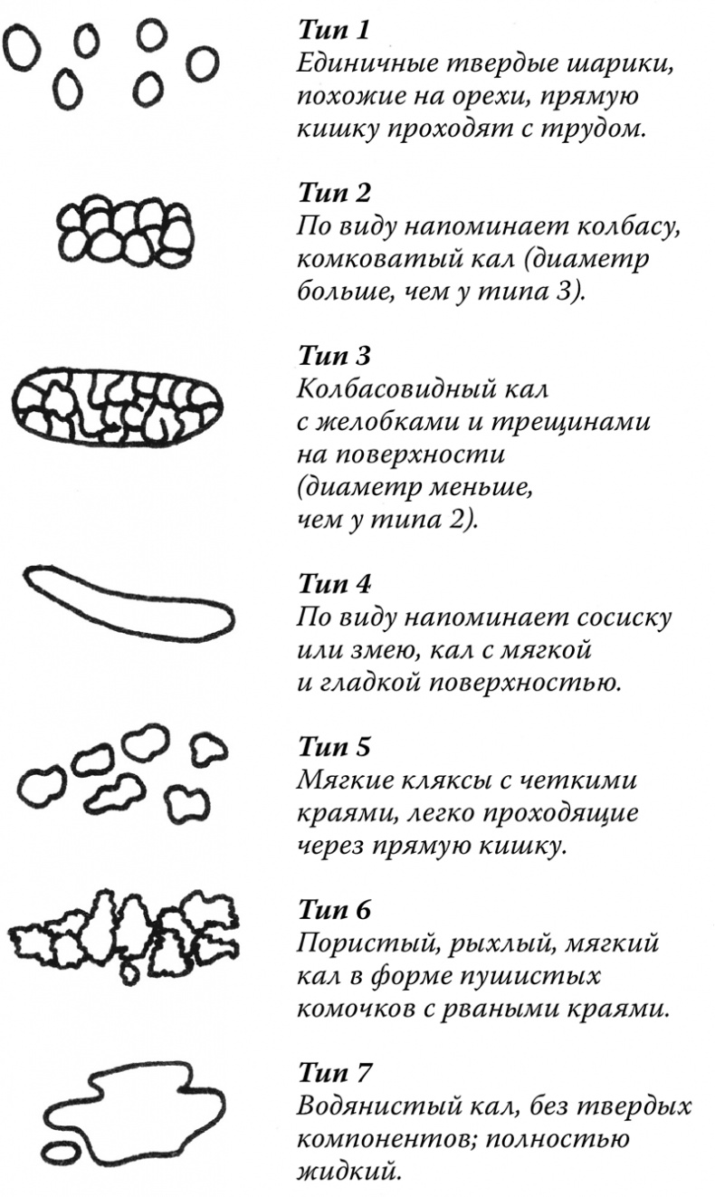 Очаровательный кишечник. Как самый могущественный орган управляет нами Очаровательный кишечник. Как самый могущественный орган управляет нами