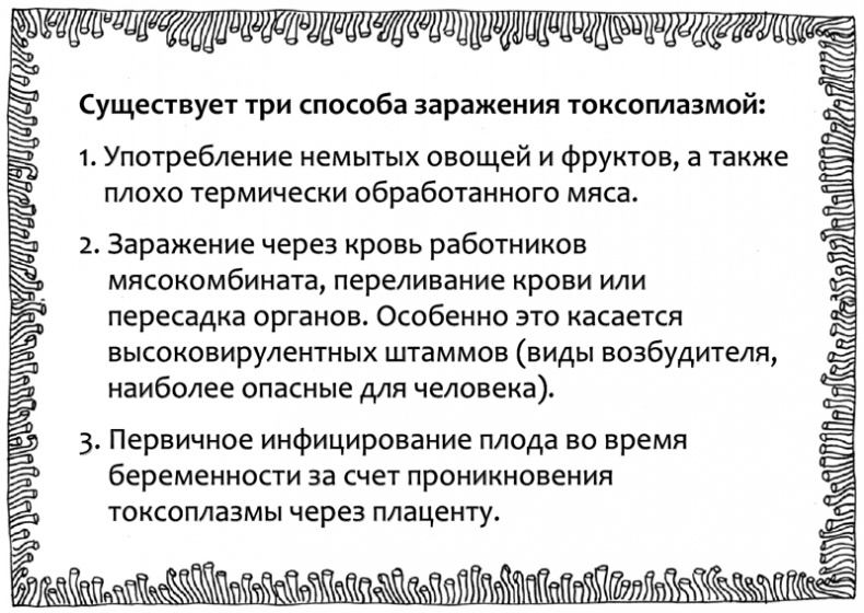 Очаровательный кишечник. Как самый могущественный орган управляет нами