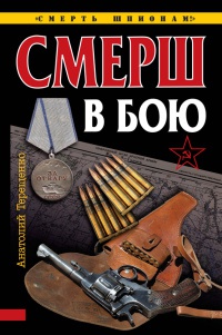 СМЕРШ в бою - Анатолий Терещенко