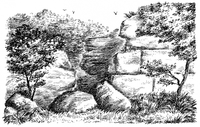 Квартет Дейлмарка. Книга 4. Корона Дейлмарка Квартет Дейлмарка. Книга 4. Корона Дейлмарка