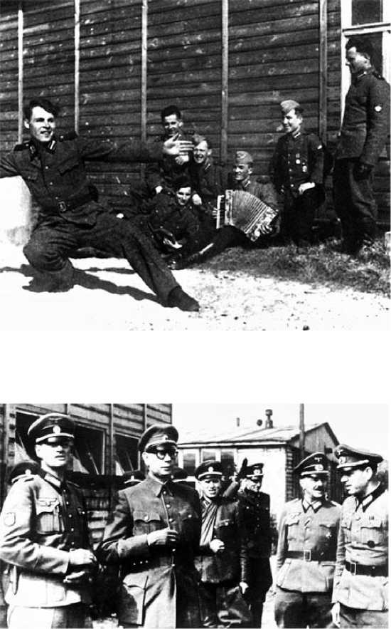 Генерал из трясины. Судьба и история Андрея Власова. Анатомия предательства Генерал из трясины. Судьба и история Андрея Власова. Анатомия предательства