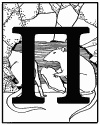 Нелли. Тайна серых теней