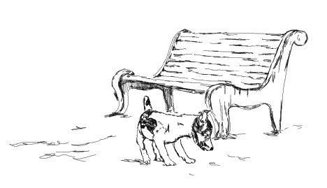 Лесная фея, или новые приключения кикиморы Светки Пипеткиной Лесная фея, или новые приключения кикиморы Светки Пипеткиной