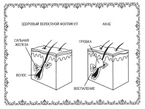 Аюрведа. Пособие по женскому здоровью Аюрведа. Пособие по женскому здоровью