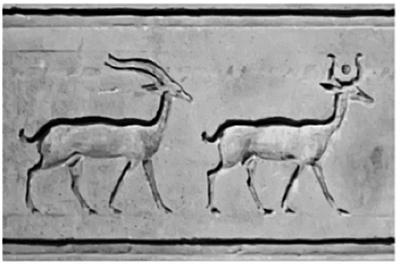 Костяной лабиринт Костяной лабиринт