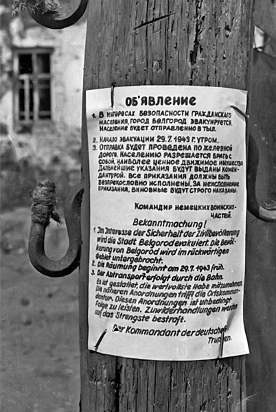 Освобождение. Переломные сражения 1943 года Освобождение. Переломные сражения 1943 года
