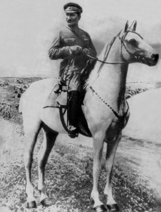 Три цвета знамени. Генералы и комиссары. 1914-1921 Три цвета знамени. Генералы и комиссары. 1914-1921