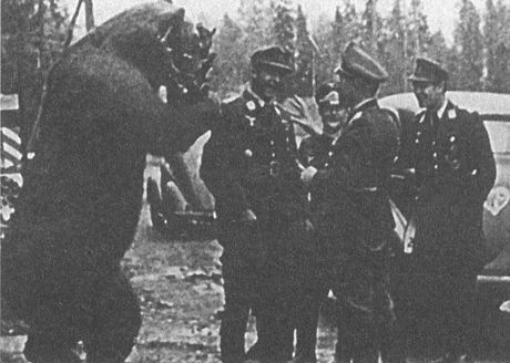 Черный крест и красная звезда. Воздушная война над Россией. 1941-1944 Черный крест и красная звезда. Воздушная война над Россией. 1941-1944