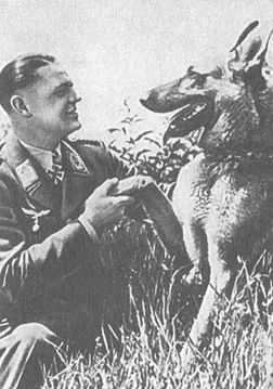 Черный крест и красная звезда. Воздушная война над Россией. 1941-1944 Черный крест и красная звезда. Воздушная война над Россией. 1941-1944