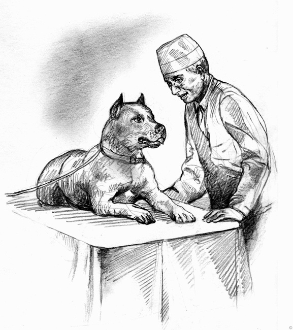Собаки и мы. Записки дрессировщика Собаки и мы. Записки дрессировщика