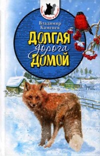 Долгая дорога домой - Владимир Каменев