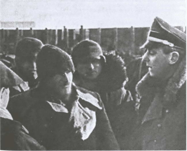 «Советские немцы» и другие фольксдойче в войсках СС