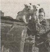 1943. Дивизия СС "Рейх" на Восточном фронте 1943. Дивизия СС "Рейх" на Восточном фронте