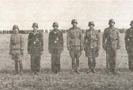 1943. Дивизия СС "Рейх" на Восточном фронте 1943. Дивизия СС "Рейх" на Восточном фронте