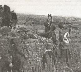 1943. Дивизия СС "Рейх" на Восточном фронте 1943. Дивизия СС "Рейх" на Восточном фронте