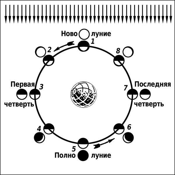Натальная астрология Натальная астрология