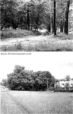 Русское государство в немецком тылу. История Локотского самоуправления. 1941-1943 Русское государство в немецком тылу. История Локотского самоуправления. 1941-1943
