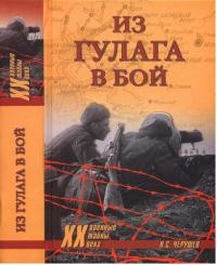 Из ГУЛАГа - в бой - Николай Черушев