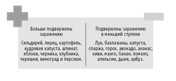 Мои рецепты от рака. Опыт врача, победившего онкологию Мои рецепты от рака. Опыт врача, победившего онкологию