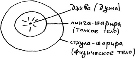 Законы судьбы, или Три шага к успеху и счастью Законы судьбы, или Три шага к успеху и счастью