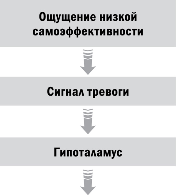 Управляй возрастом. Живи дольше, зарабатывай больше Управляй возрастом. Живи дольше, зарабатывай больше