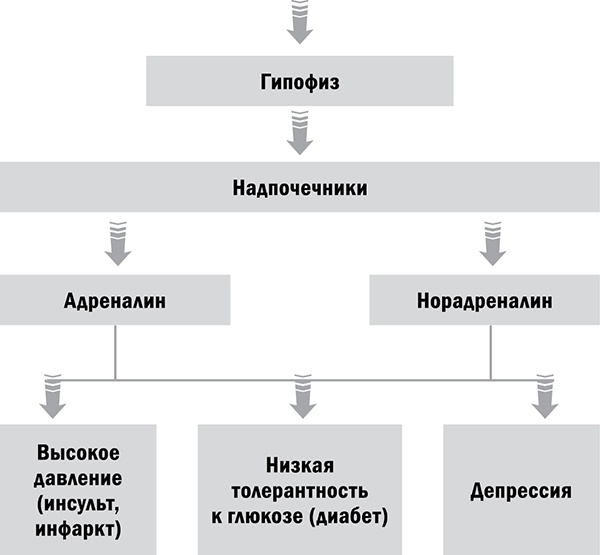 Управляй возрастом. Живи дольше, зарабатывай больше Управляй возрастом. Живи дольше, зарабатывай больше
