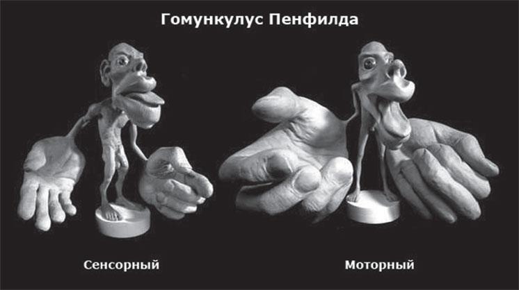 Сверхвозможности человеческого мозга. Путешествие в подсознание Сверхвозможности человеческого мозга. Путешествие в подсознание