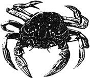 Рисовый штурм и еще 21 способ мыслить нестандартно Рисовый штурм и еще 21 способ мыслить нестандартно
