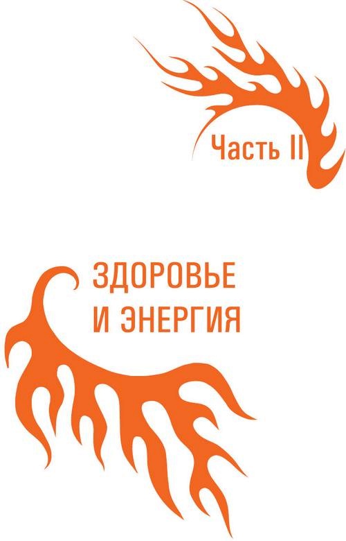 Код Феникса. Как изменить свою жизнь за 3 месяца Код Феникса. Как изменить свою жизнь за 3 месяца