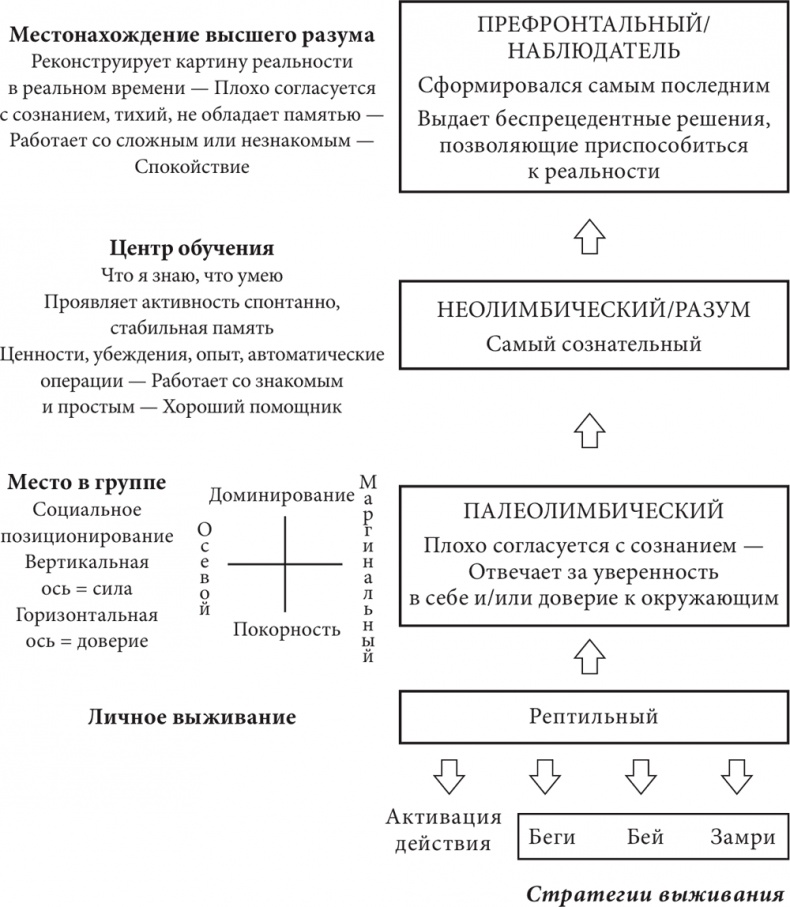 Бизнес и Трансерфинг. Нейро-квантовый метод успеха Бизнес и Трансерфинг. Нейро-квантовый метод успеха