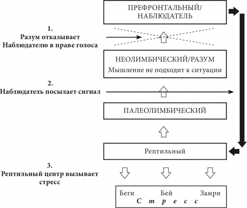 Бизнес и Трансерфинг. Нейро-квантовый метод успеха Бизнес и Трансерфинг. Нейро-квантовый метод успеха