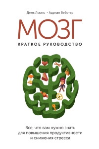 Мозг: краткое руководство. Все, что вам нужно знать для повышения эффективности и снижения стресса - Адриан Вебстер
