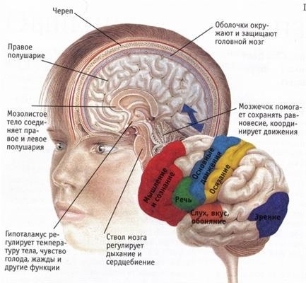 Как построить дом здоровья, счастья и богатства. Универсальная методика «ВЕСТА» Как построить дом здоровья, счастья и богатства. Универсальная методика «ВЕСТА»