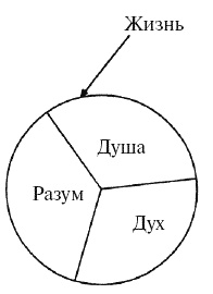 Большая книга о новой жизни, которую никогда не поздно начать Большая книга о новой жизни, которую никогда не поздно начать
