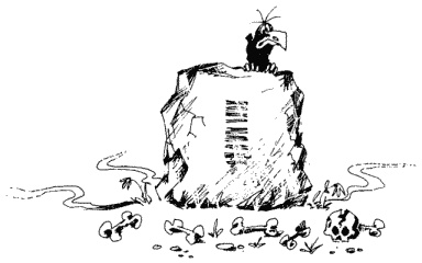 Большая книга о новой жизни, которую никогда не поздно начать Большая книга о новой жизни, которую никогда не поздно начать