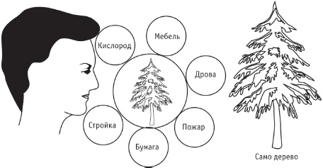Сила стихий в твоих руках. От человека до эгрегора Сила стихий в твоих руках. От человека до эгрегора