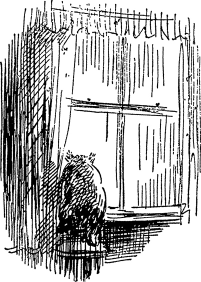 Медвежонок Паддингтон. Новые приключения Медвежонок Паддингтон. Новые приключения