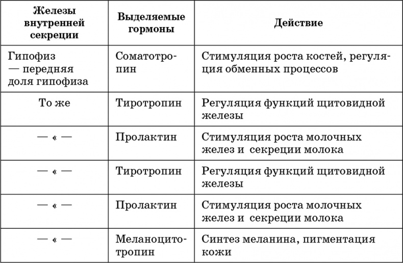 Возрастная анатомия и физиология. Основы профилактики и коррекции нарушений в развитии детей