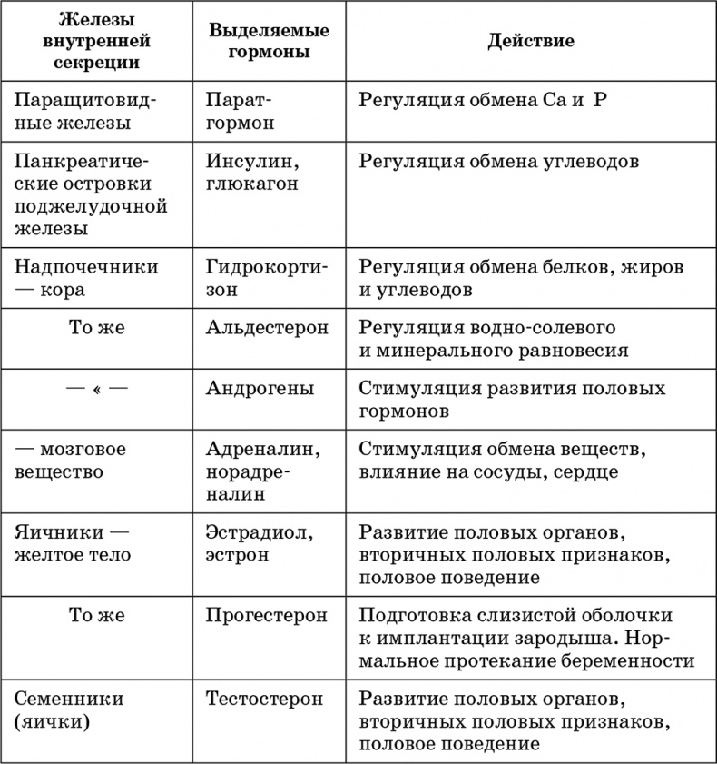 Возрастная анатомия и физиология. Основы профилактики и коррекции нарушений в развитии детей