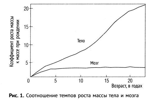 Мальчик, которого растили, как собаку. И другие истории из блокнота детского психиатра Мальчик, которого растили, как собаку. И другие истории из блокнота детского психиатра