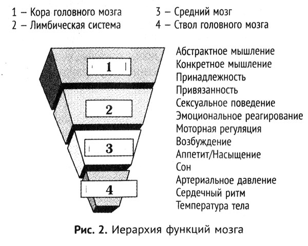 Мальчик, которого растили, как собаку. И другие истории из блокнота детского психиатра Мальчик, которого растили, как собаку. И другие истории из блокнота детского психиатра
