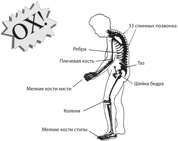 Здоровая нервная система Здоровая нервная система